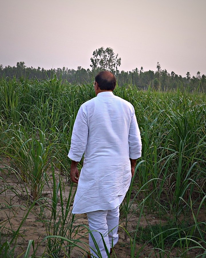 किसान खेत में, सुनहरी रोशनी में